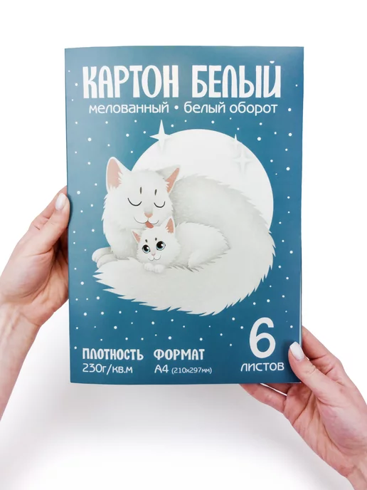 Rumba Белый картон для школы А4 двусторонний матовый набор 20 л, 6 л, фото 3