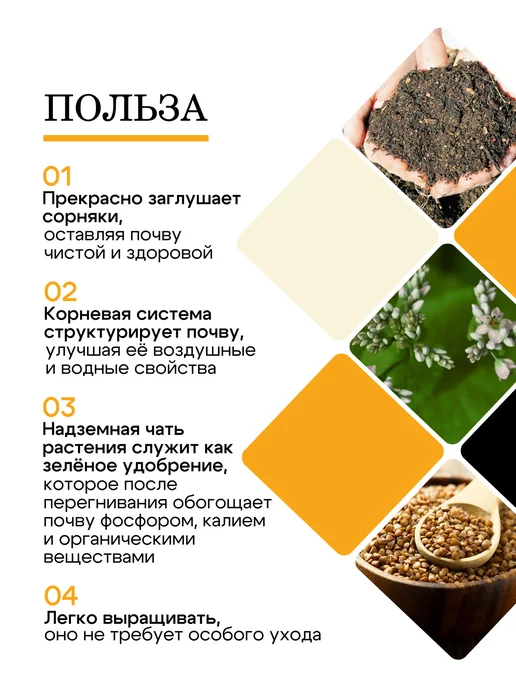 Природа Мёда Гречиха семена сидерат медонос 1 кг, урожай 2025 года, 2 кг, фото 2