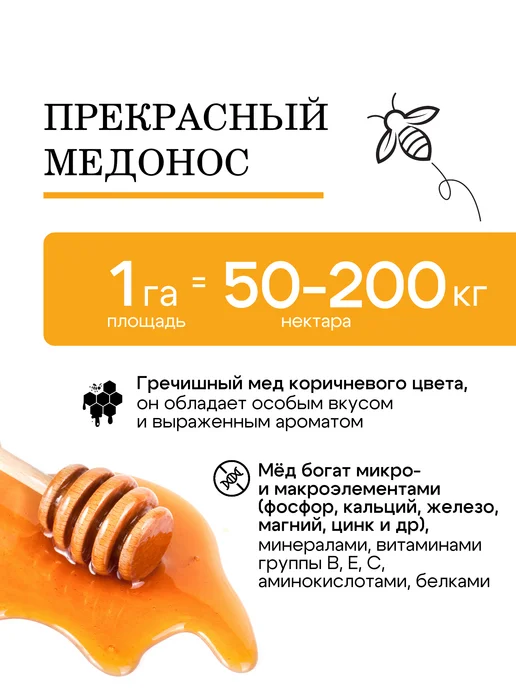 Природа Мёда Гречиха семена сидерат медонос 1 кг, урожай 2025 года, 2 кг, фото 3