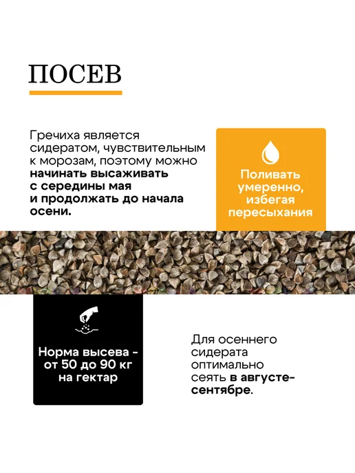 Природа Мёда Гречиха семена сидерат медонос 1 кг, урожай 2025 года, 2 кг, фото 4