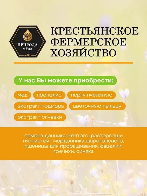 Природа Мёда Гречиха семена сидерат медонос 1 кг, урожай 2025 года, 2 кг, фото 5
