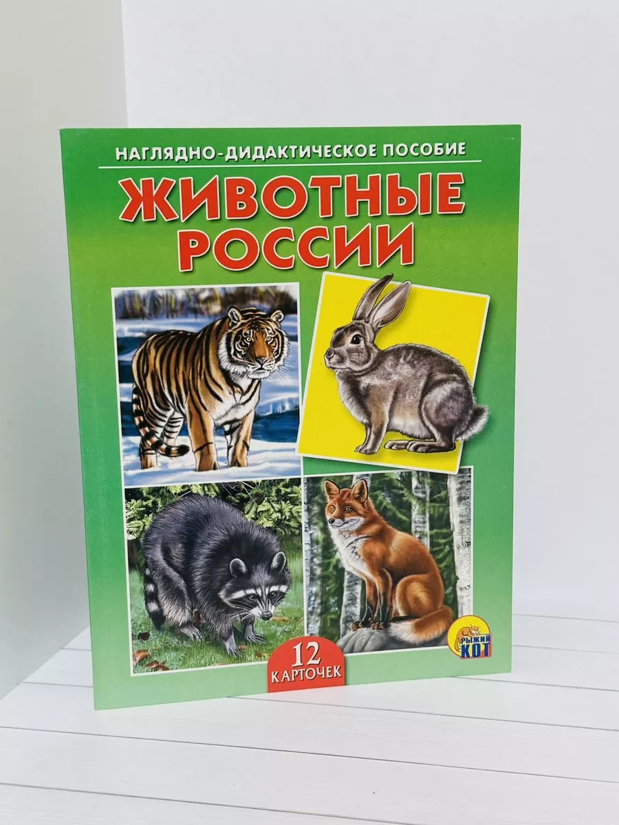 Карточки, Животные России Рыжий кот 192089892 купить за 186 ₽ в  интернет-магазине Wildberries