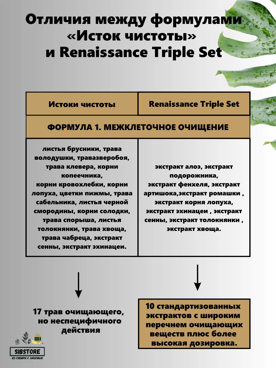 Исток чистоты премиум ренессанс очищение детокс Здоровье из Сибири  192137209 купить за 2 410 ₽ в интернет-магазине Wildberries