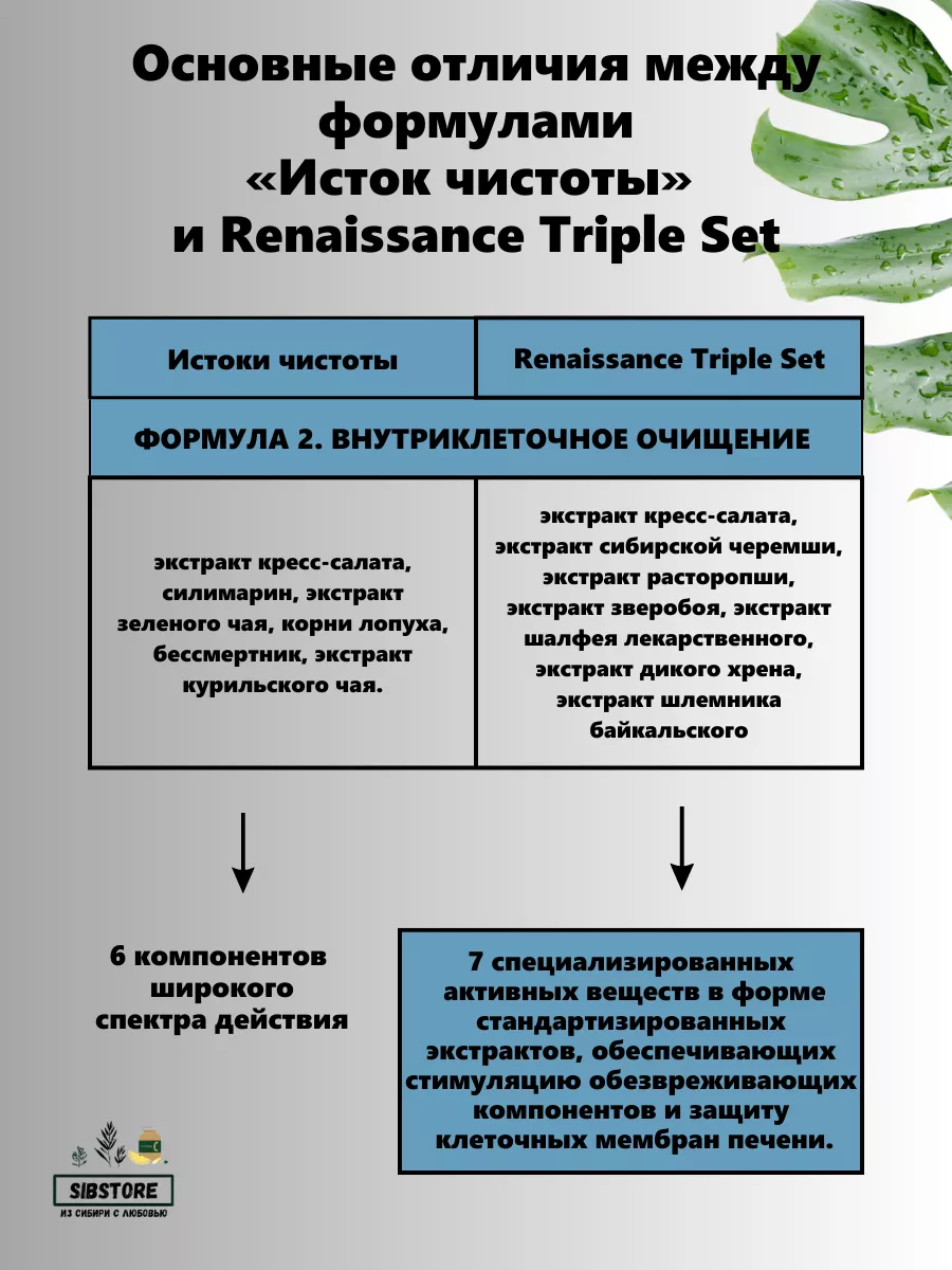Исток чистоты премиум ренессанс очищение детокс Здоровье из Сибири  192137209 купить за 2 410 ₽ в интернет-магазине Wildberries