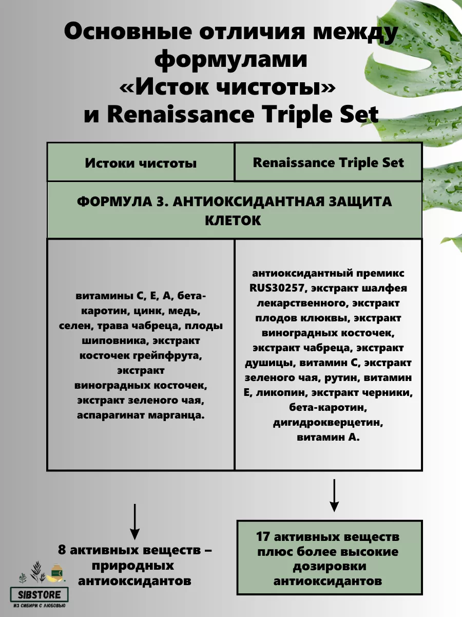 Исток чистоты премиум ренессанс очищение детокс Здоровье из Сибири  192137209 купить за 2 410 ₽ в интернет-магазине Wildberries