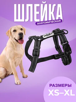 Шлейка для собак анатомическая MiloPets 192148225 купить за 569 ₽ в интернет-магазине Wildberries