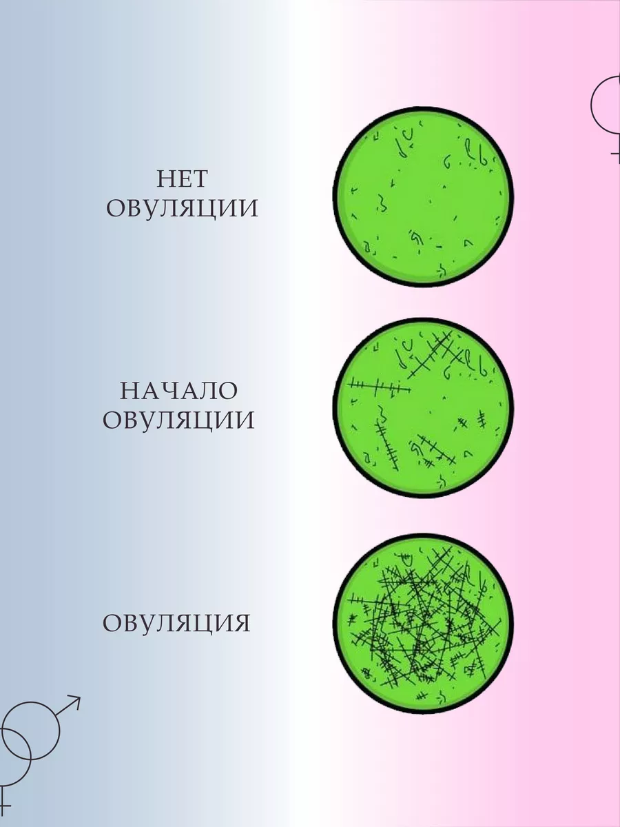 Тест на овуляцию многоразовый по слюне happy end 192150629 купить за 2 575  ₽ в интернет-магазине Wildberries