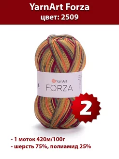 Пряжа Forza 2509 - 2 шт, шерсть носочная Yarnart 192225033 купить за 645 ₽ в интернет-магазине Wildberries