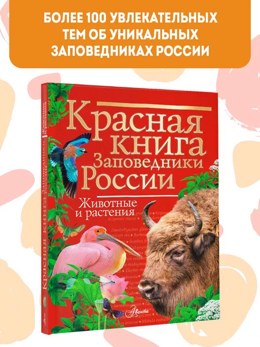 Как сделать лэпбук «Красная книга России» для дошкольников