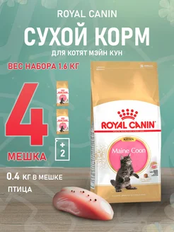 Корм Maine Coon Kitten 36 для котят Мэйн Кун 0,4 кг 4 шт ROYAL CANIN 192265065 купить за 2 247 ₽ в интернет-магазине Wildberries