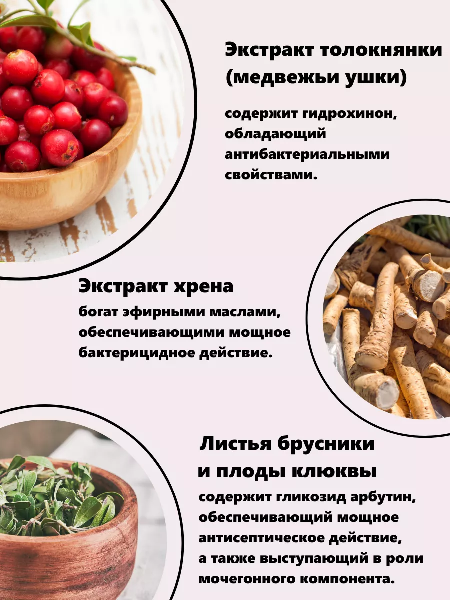 Медвежьи ушки и брусника