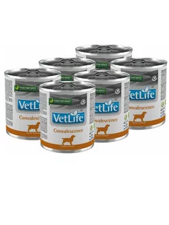 Корм влажный Vet Life Dog Convalescence 6шт*300г FARMINA 192576623 купить за 1 797 ₽ в интернет-магазине Wildberries