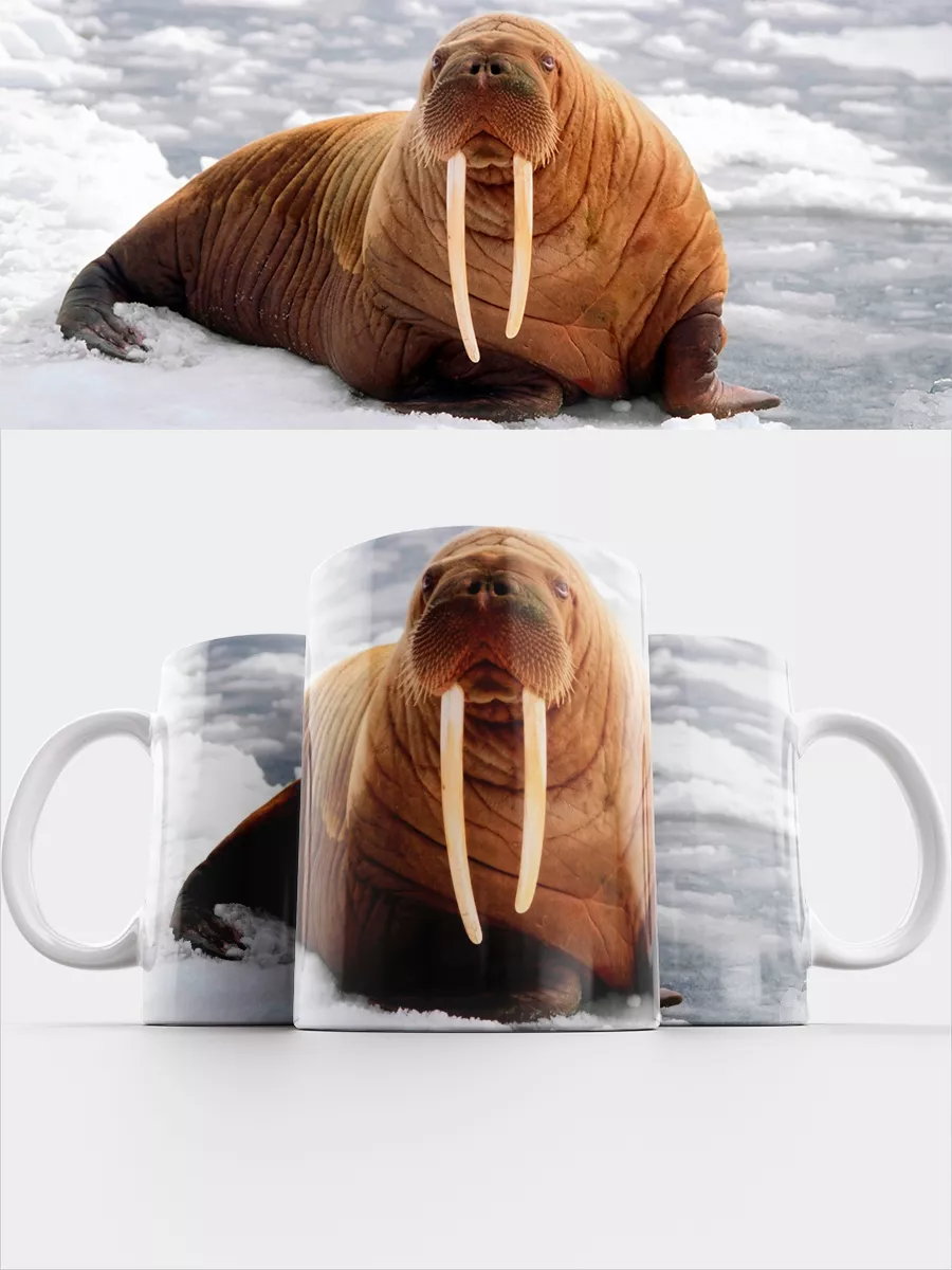 Cupsberi Кружка Усатый морж