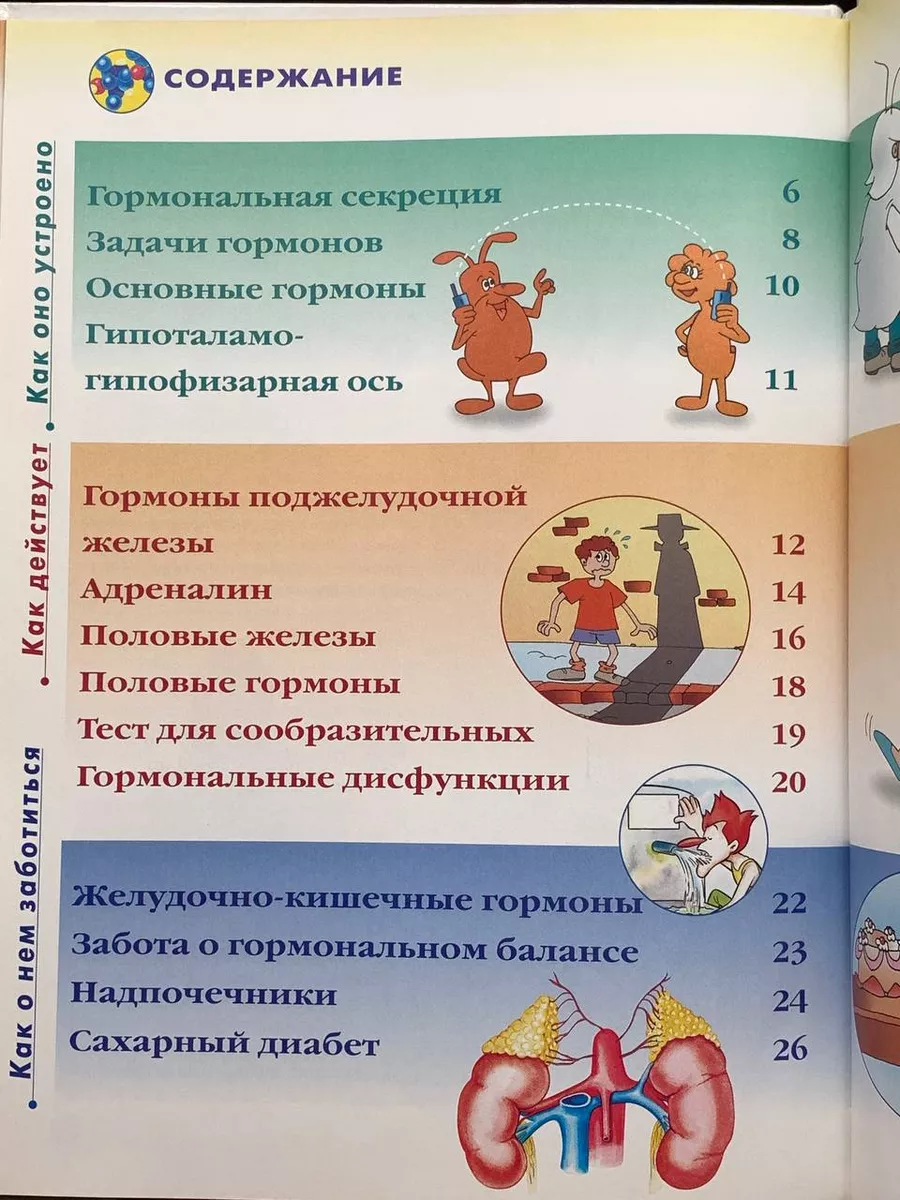 Как устроено тело человека. Выпуск 40. Гормоны. Часть 2 DeAgostini  192629490 купить за 319 ₽ в интернет-магазине Wildberries