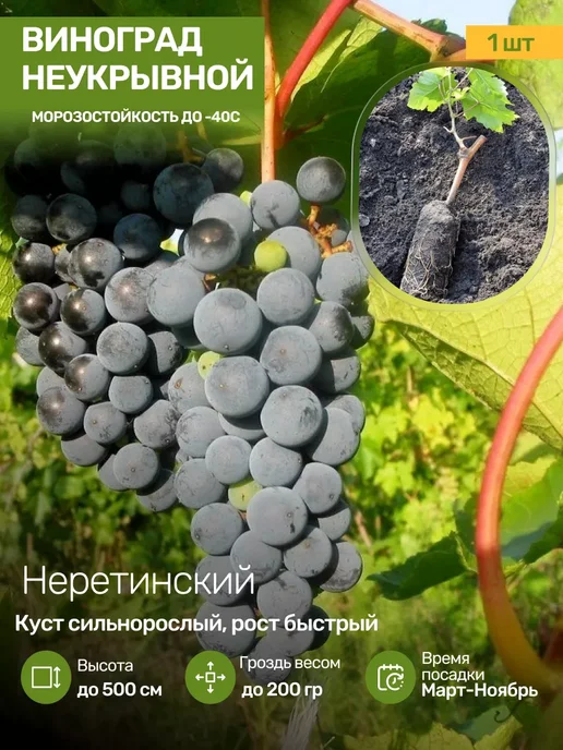 Типичные болезни и их профилактика