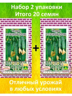 Огурец Городской Огурчик F1, 2 упаковки по 10 шт. Агрофирма манул 192699654 купить за 165 ₽ в интернет-магазине Wildberries