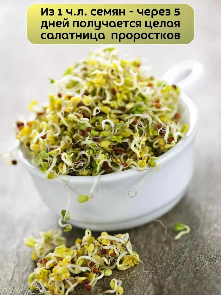 Broccoli Sprouts Купить