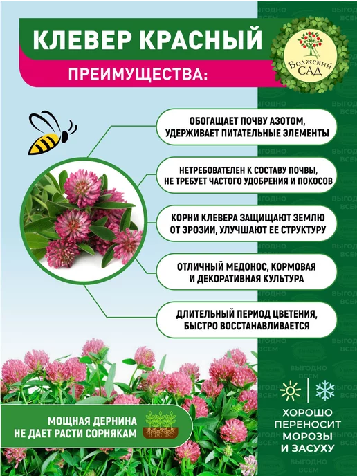 Унисем Многолетняя газонная трава 1кг Клевер красный, 1 кг, фото 2