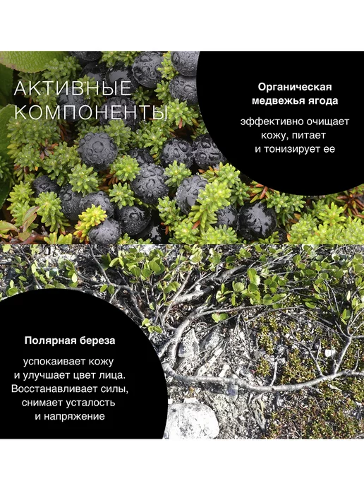 Natura siberica Мужской лосьон диски после бритья для лица и шеи 20 шт, 20 шт, фото 8