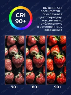 Люстра потолочная светодиодная на кухню, прихожую и спальню СВЕТКОМЕТ 192793601 купить за 3 533 ₽ в интернет-магазине Wildberries