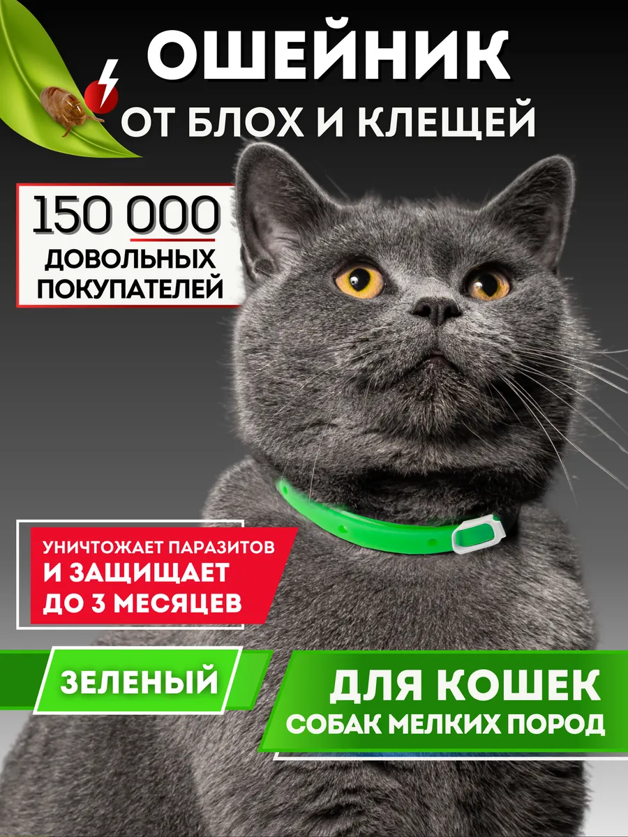Ошейник от блох и клещей