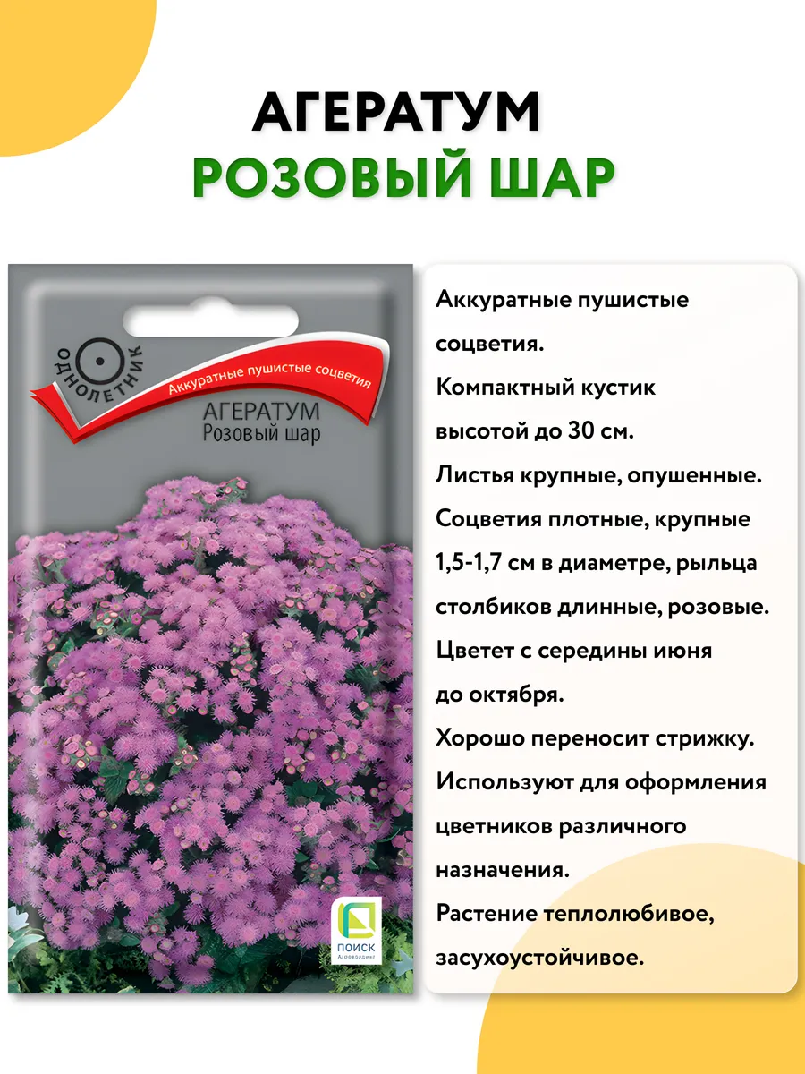 Семена цветов агератум низкорослый Агрохолдинг Поиск 192912133 купить за  228 ₽ в интернет-магазине Wildberries