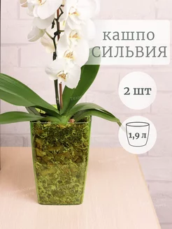 Горшок для орхидеи 1,9 л набор 2 шт Технологии Уюта 192976734 купить за 526 ₽ в интернет-магазине Wildberries