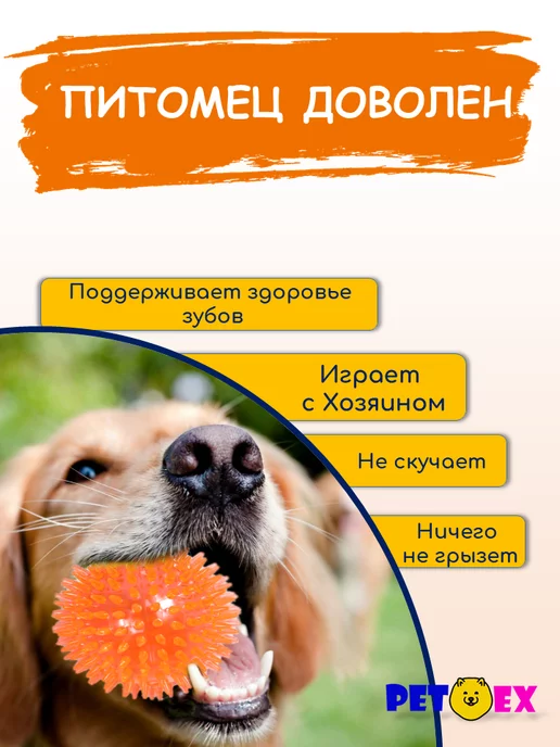 Pet-Ex Мяч для собак с шипами 2 шт, по 9 см, оранжевый, фото 3