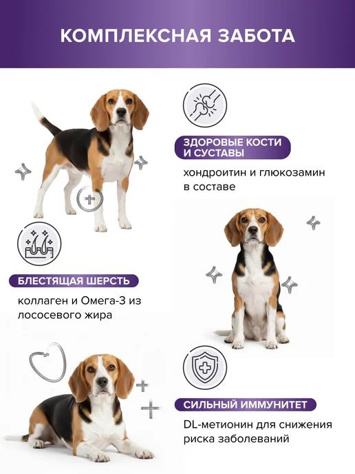 Сухой корм DOCTRINE health starts with nutrition Белой для собак, рыба, 0,8 кг, фото 2