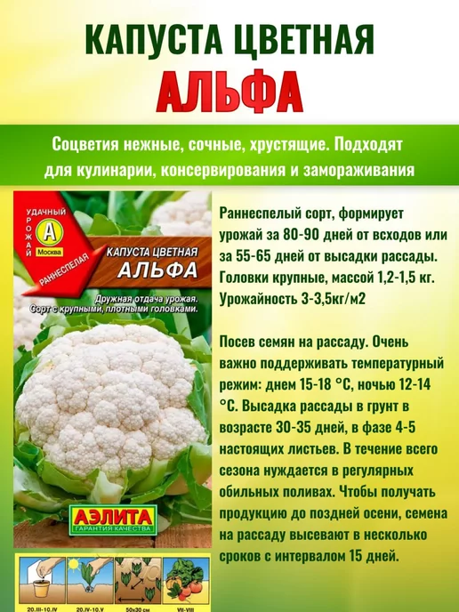 Агрофирма АЭЛИТА Семена капусты цветной, пекинской и брокколи набор, вариант, фото 5