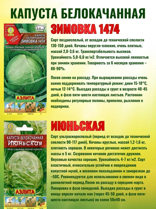 Агрофирма АЭЛИТА Семена капусты белокочанной набор 6 сортов ранняя, вариант, фото 5
