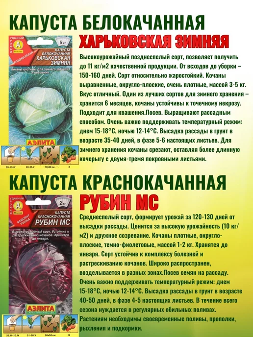Агрофирма АЭЛИТА Семена капусты белокочанной набор 6 сортов ранняя, вариант, фото 7