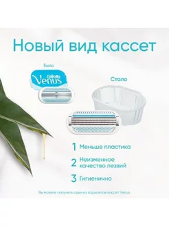 Gillette venus бритва со сменной кассетой-1шт. GILLETTE 193120741 купить за 862 ₽ в интернет-магазине Wildberries