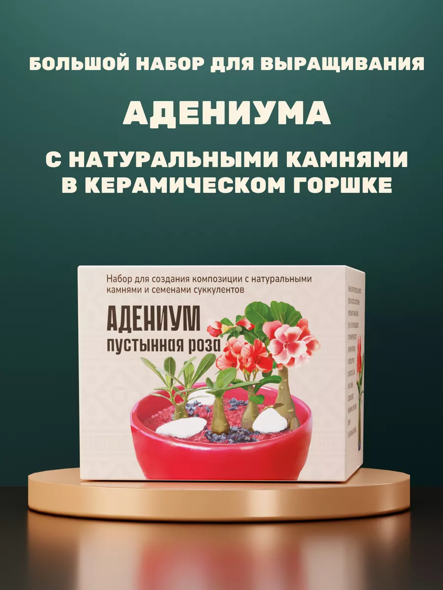 Набор для выращивания растений Адениум живые камни Цветы и Камни 193127233  купить за 987 ₽ в интернет-магазине Wildberries