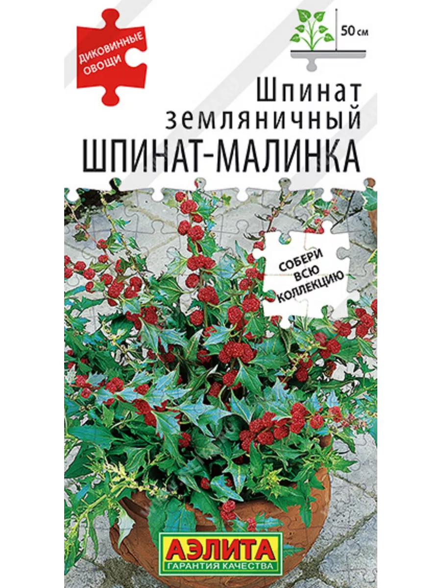 Семена Шпинат земляничный Шпинат-малинка Агрофирма Аэлита 193207499 купить  за 94 ₽ в интернет-магазине Wildberries