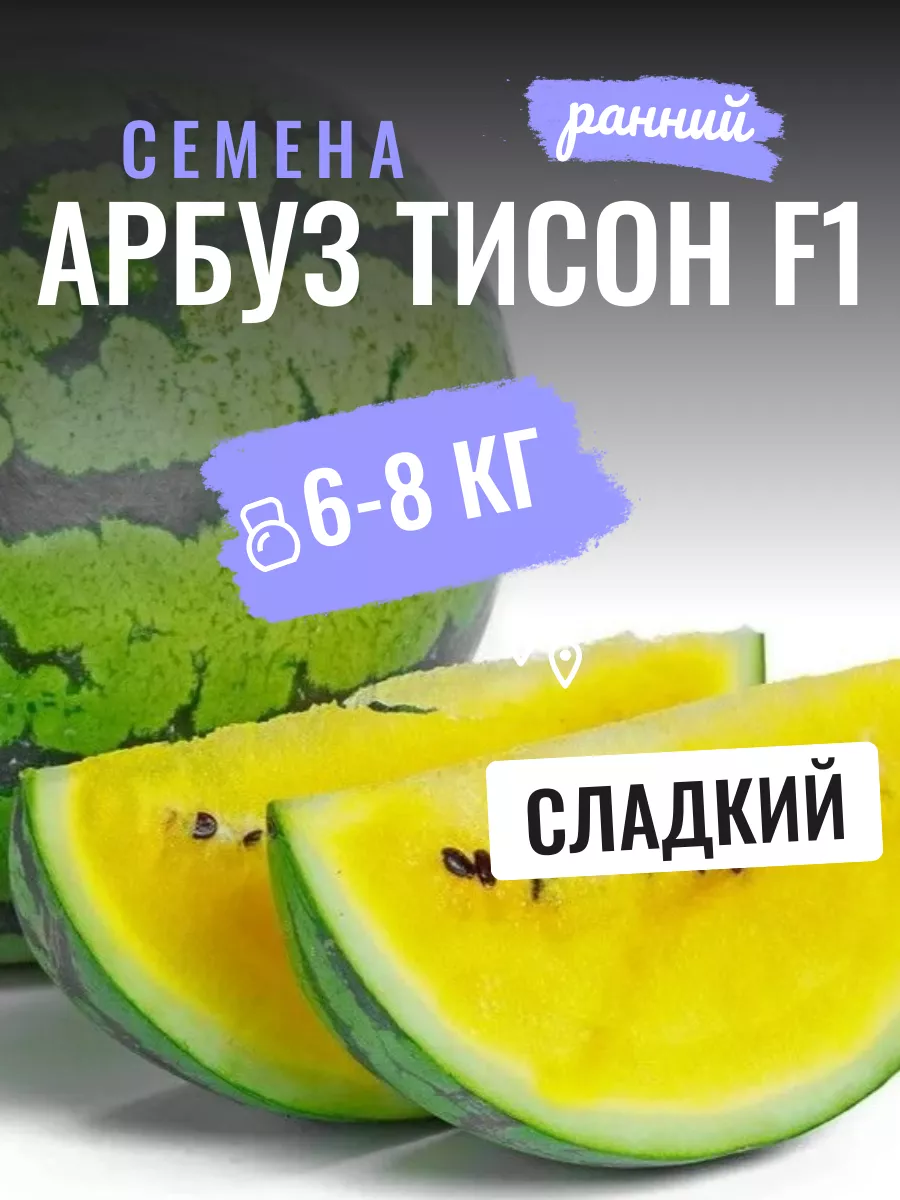 Арбуз семена Тисон F1 5шт профессиональные Minami Seeds 193225408 купить за  152 ₽ в интернет-магазине Wildberries