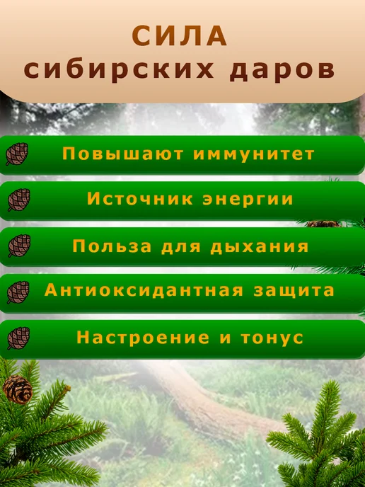 Дикополезно Цукаты из сосновых шишек 200 г, 200 г, фото 3
