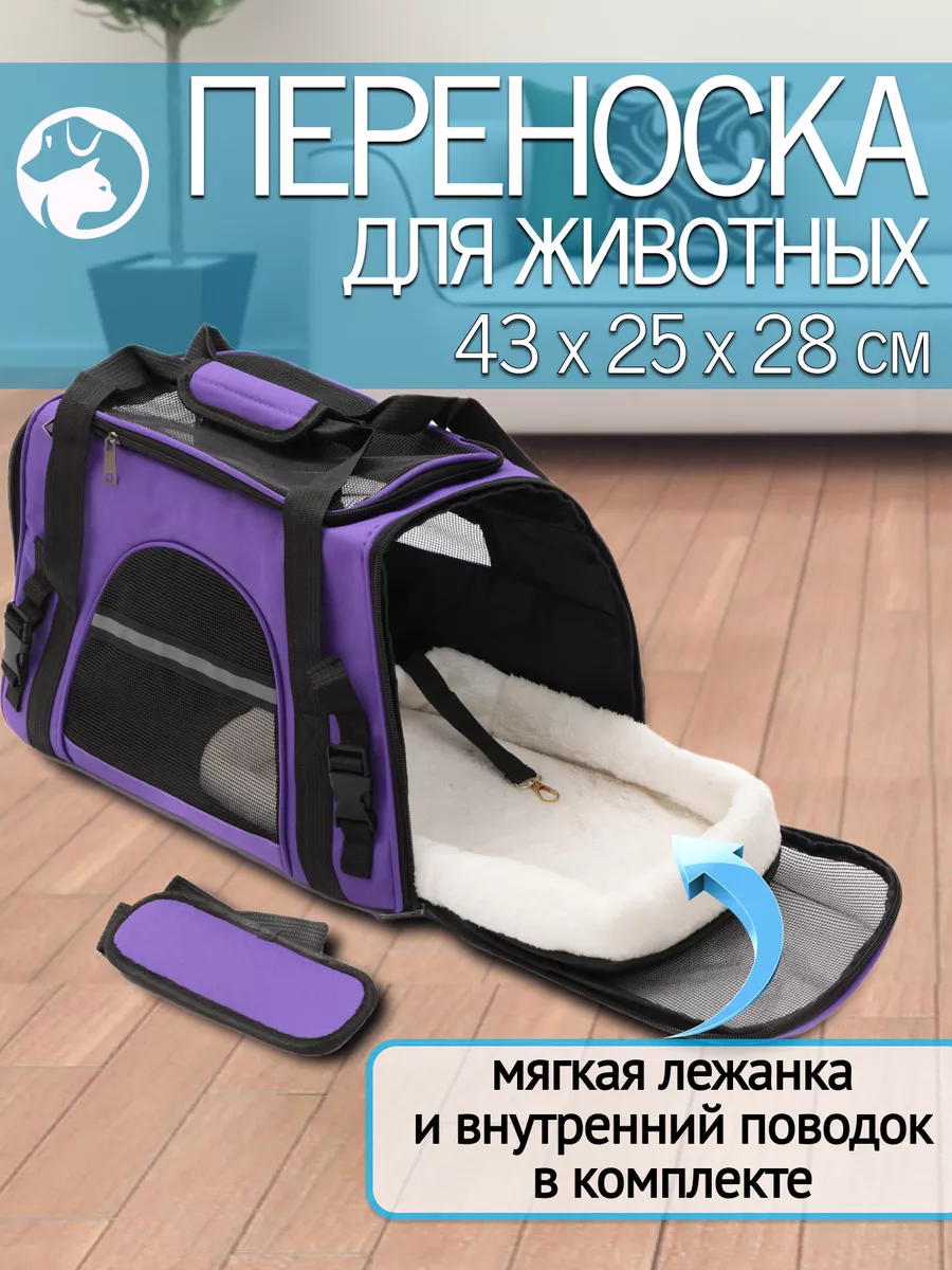 фиолетовый