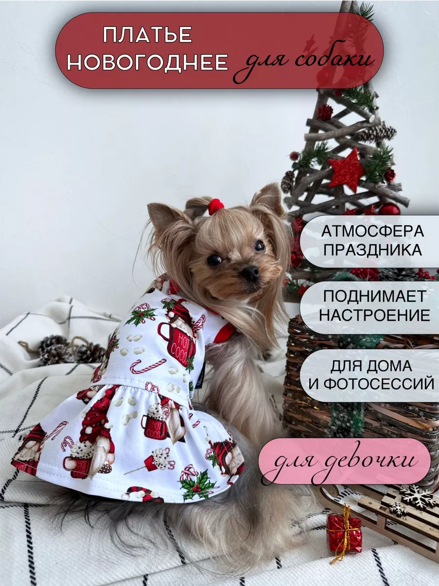 PET Новогоднее платье собаки династии Тан (красное), ткань собаки для малых средних крупных собак