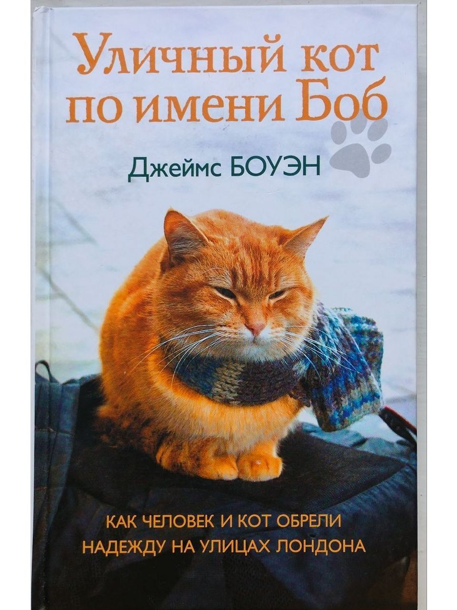 Книга уличный. Книга кот Боб тайна уличного кота. Уличный кот по имени Боб продает журналы.