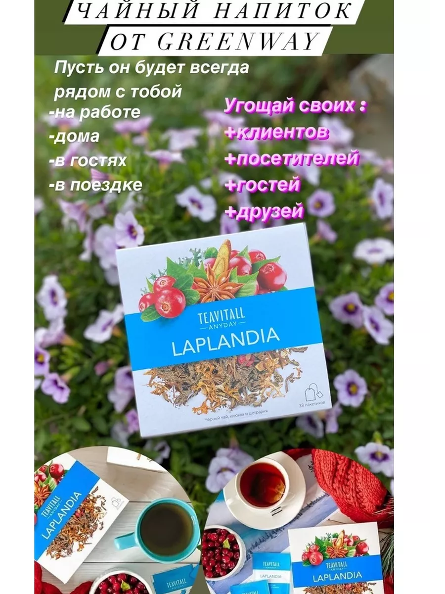 Чайный напиток TeaVitall Anyday «Laplandia» 193463596 купить в  интернет-магазине Wildberries