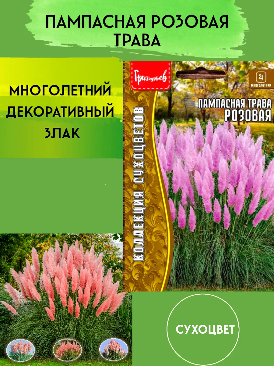 Семена Пампасная трава розовая Редкие семена 193467260 купить в  интернет-магазине Wildberries