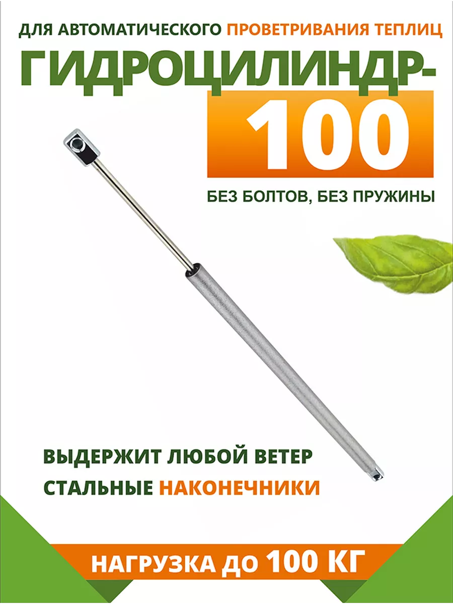 Гидроцилиндр-100