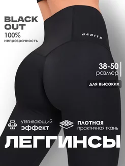 Лосины спортивные для фитнеса леггинсы HABITS 193719204 купить за 1 016 ₽ в интернет-магазине Wildberries