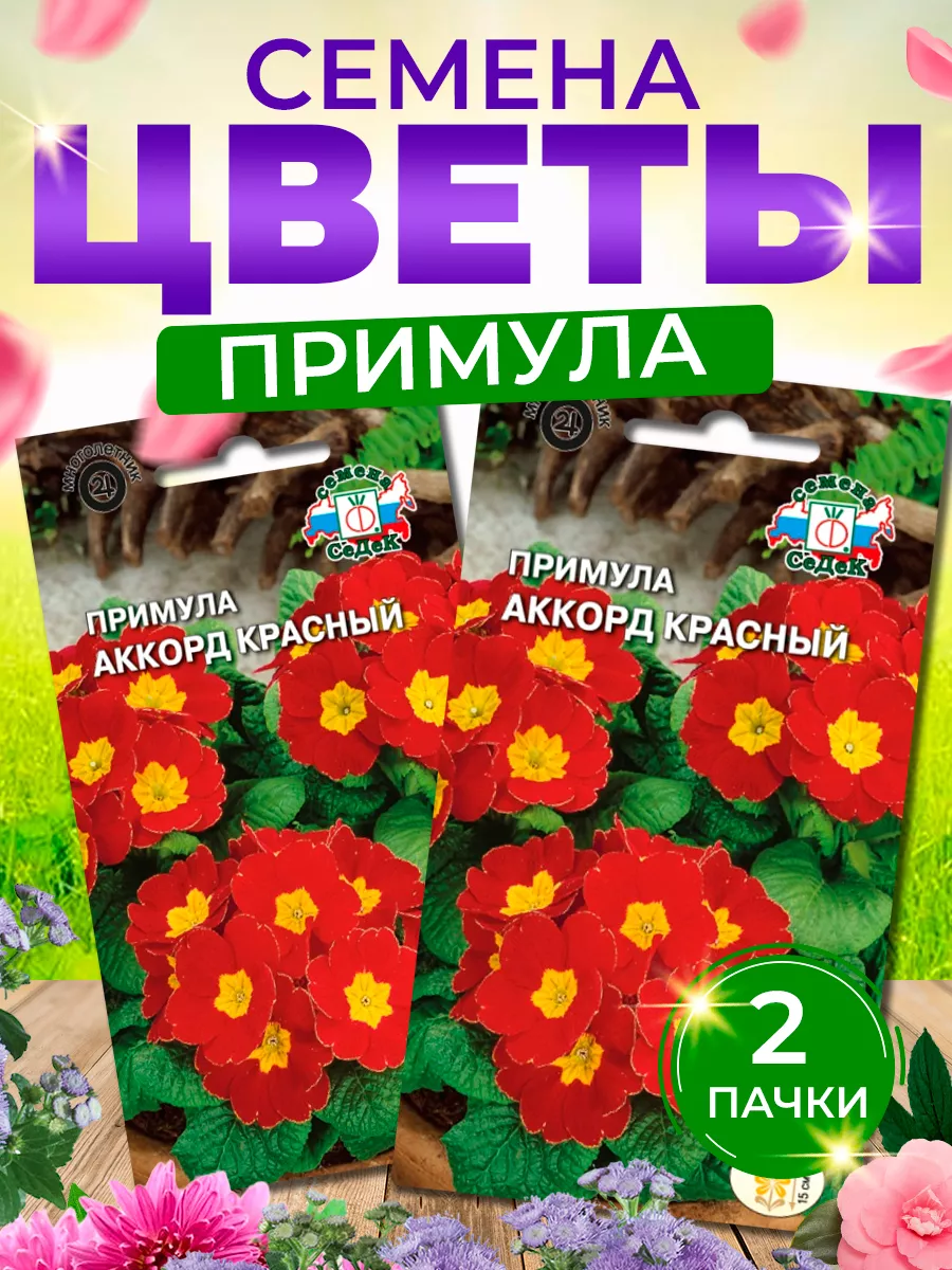 Семена цветов Примула Аккорд Красный СеДек 193754905 купить за 175 ₽ в  интернет-магазине Wildberries