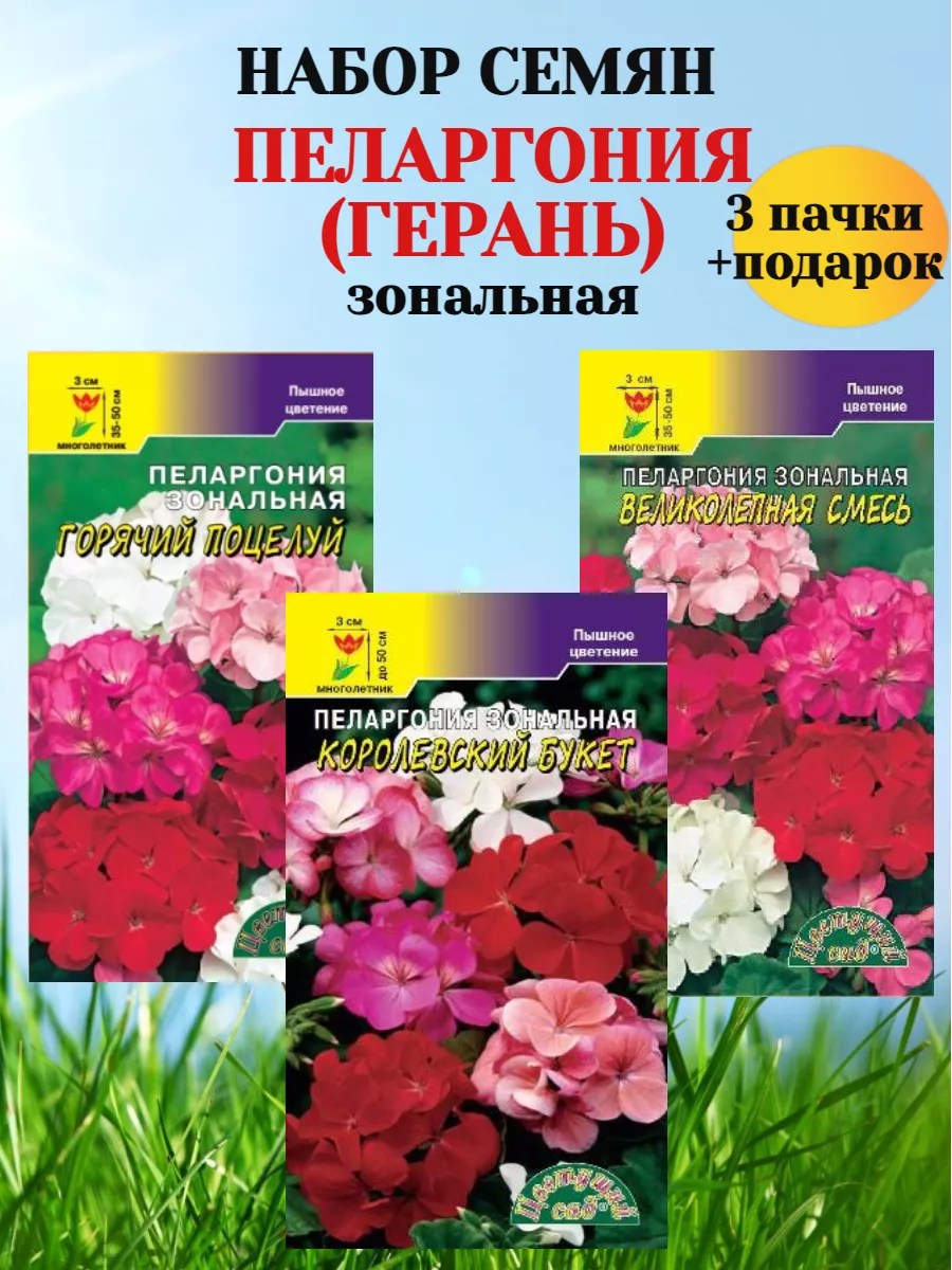 Купить семена пеларгонии с доставкой почтой в Алматы, Казахстане | интернет-магазин Беккер