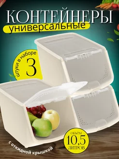 Контейнер с крышкой для картошки FORMULA PROF_HOME 193772812 купить за 1 303 ₽ в интернет-магазине Wildberries