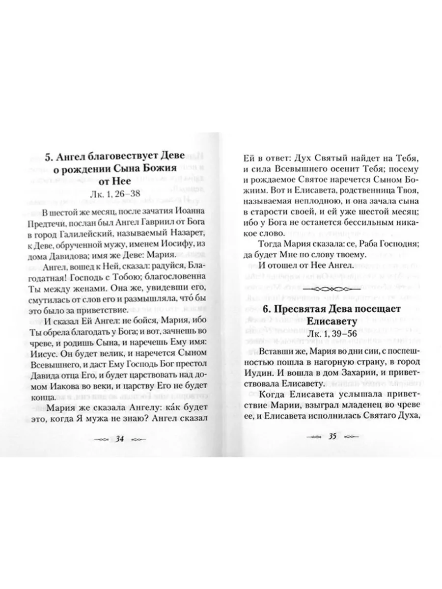 Евангельская история. Святитель Феофан Затворник Сибирская Благозвонница  193862543 купить за 503 ₽ в интернет-магазине Wildberries