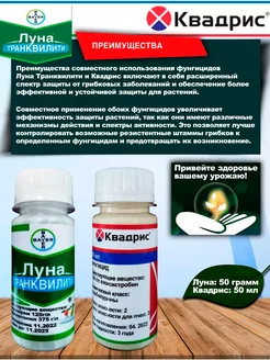 Квадрис и Луна Транквилити PharmAgro 193878081 купить за 989 ₽ в интернет-магазине Wildberries