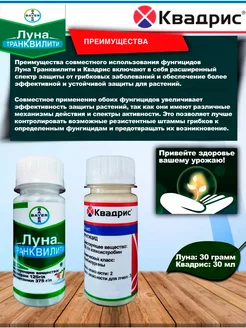 Квадрис и Луна Транквилити PharmAgro 193878546 купить за 556 ₽ в интернет-магазине Wildberries